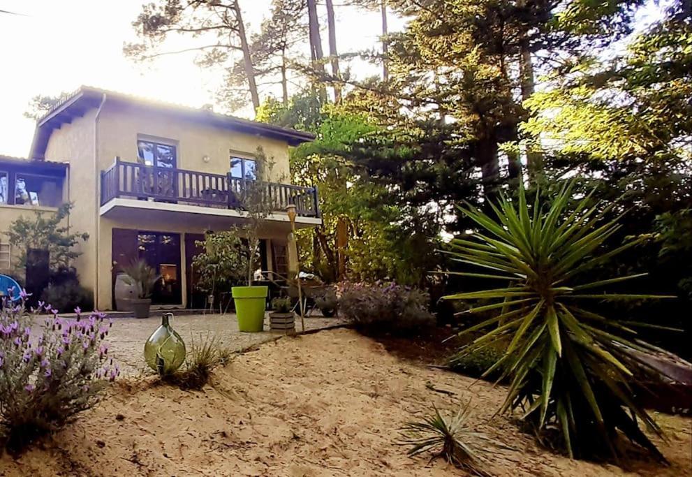 Villa Mon Petit Coin Sous Les Pins La Teste-de-Buch Exterior foto